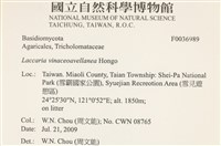 登錄號:F0036989藏品圖，第2張