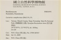 登錄號:F0036991藏品圖，第2張