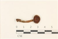 登錄號:F0036991藏品圖，第1張