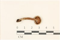 登錄號:F0036991藏品圖，第3張