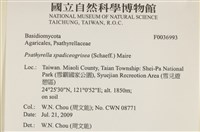 登錄號:F0036993藏品圖，第2張