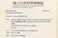 登錄號:F0036995藏品圖，第2張