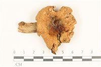 登錄號:F0036995藏品圖，第1張