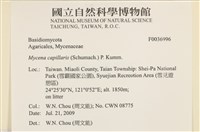 登錄號:F0036996藏品圖，第2張