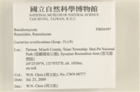 登錄號:F0036997藏品圖，第2張