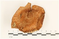 登錄號:F0036997藏品圖，第1張