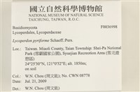 登錄號:F0036998藏品圖，第2張