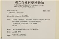 登錄號:F0036999藏品圖，第2張