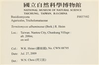 登錄號:F0037002藏品圖，第2張
