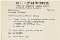 登錄號:F0037004藏品圖，第2張