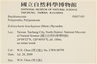 登錄號:F0037005藏品圖，第2張