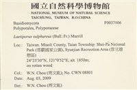 登錄號:F0037006藏品圖，第2張
