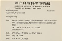 登錄號:F0037011藏品圖，第2張