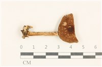 登錄號:F0037011藏品圖，第1張