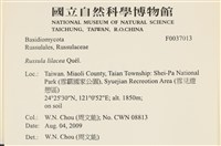 登錄號:F0037013藏品圖，第2張