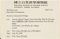 登錄號:F0037016藏品圖，第2張
