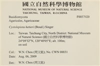登錄號:F0037020藏品圖，第2張