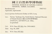 登錄號:F0037021藏品圖，第2張