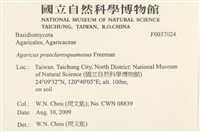 登錄號:F0037024藏品圖，第2張