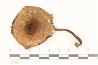 登錄號:F0037024藏品圖，第1張