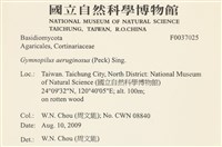 登錄號:F0037025藏品圖，第2張
