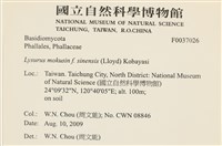 登錄號:F0037026藏品圖，第2張