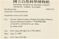 登錄號:F0037029藏品圖，第2張
