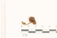 登錄號:F0037029藏品圖，第1張