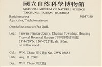 登錄號:F0037030藏品圖，第2張