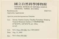 登錄號:F0037031藏品圖，第2張