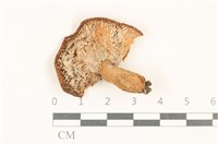 登錄號:F0037032藏品圖，第3張