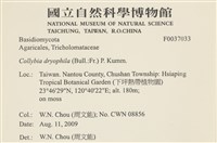 登錄號:F0037033藏品圖，第2張