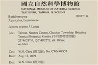 登錄號:F0037034藏品圖，第2張