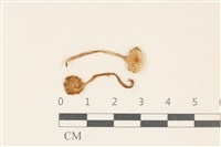 登錄號:F0037034藏品圖，第1張