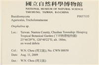 登錄號:F0037035藏品圖，第2張
