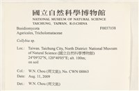登錄號:F0037038藏品圖，第2張