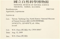 登錄號:F0037040藏品圖，第2張