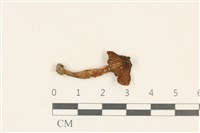 登錄號:F0037043藏品圖，第1張
