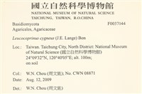 登錄號:F0037044藏品圖，第2張