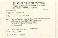 登錄號:F0037045藏品圖，第2張