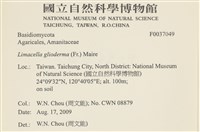 登錄號:F0037049藏品圖，第2張