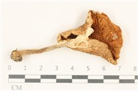 登錄號:F0037050藏品圖，第3張