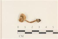 登錄號:F0037051藏品圖，第1張