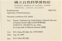 登錄號:F0037053藏品圖，第2張