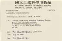 登錄號:F0037056藏品圖，第2張