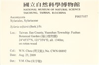 登錄號:F0037057藏品圖，第1張