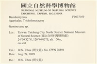 登錄號:F0037059藏品圖，第2張