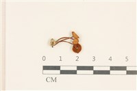 登錄號:F0037059藏品圖，第1張