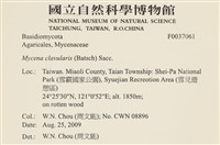 登錄號:F0037061藏品圖，第2張