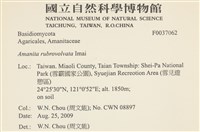 登錄號:F0037062藏品圖，第2張